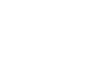 bochringer-reverso