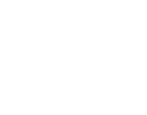 microsoft-startups-reverso