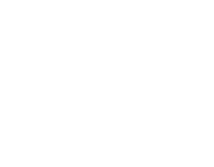 startub-reversolab